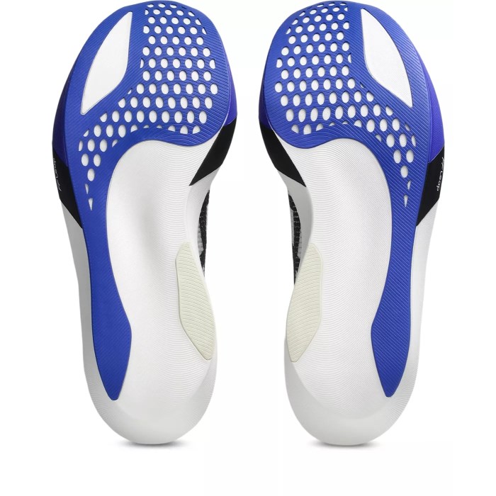 Asics Metaspeed Sky Tokyo - Unisex Racing Shoes - White/Cobalt Burst