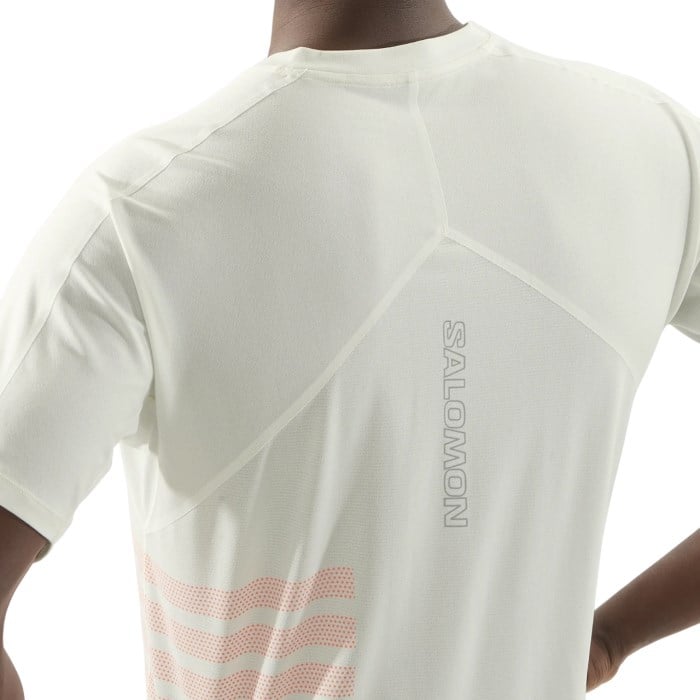Salomon Aero GFX Mens Short Sleeve T-Shirt - Icicle/Neon Flame