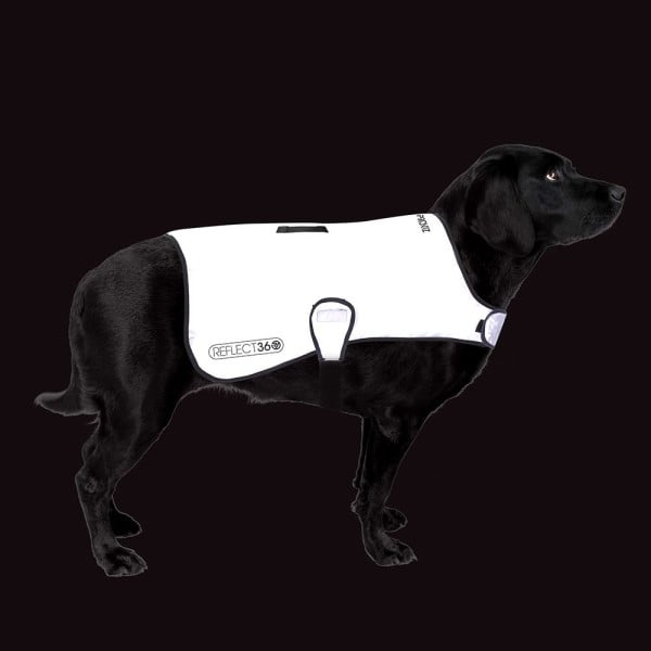Proviz Reflect360 Waterproof Dog Coat - Grey/Reflective Silver