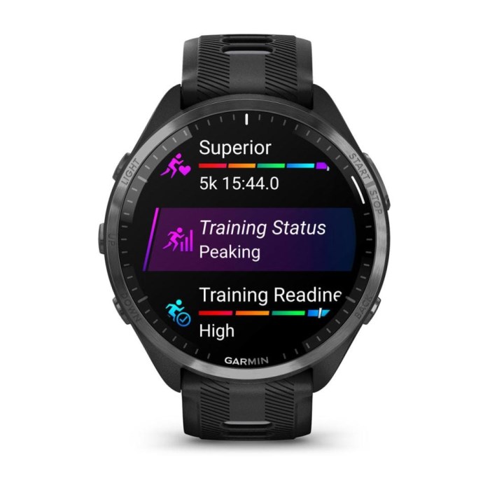 Garmin Forerunner 965 - Premium GPS Running Smart Watch - Black