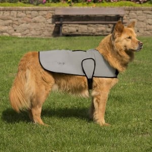 Proviz Reflect360 Waterproof Dog Coat - Grey/Reflective Silver