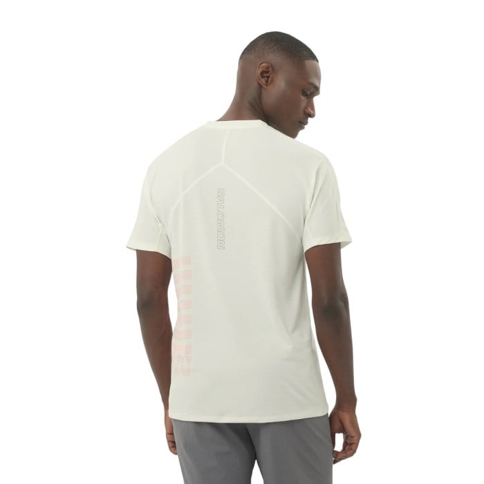 Salomon Aero GFX Mens Short Sleeve T-Shirt - Icicle/Neon Flame
