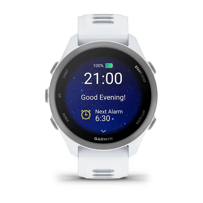 Garmin Forerunner 170 GPS Watch - Whitestone/Cloud Blue - image 2