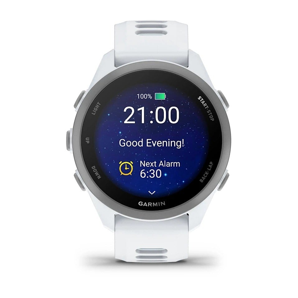 Garmin Forerunner 170 GPS Watch - Whitestone/Cloud Blue - image 2