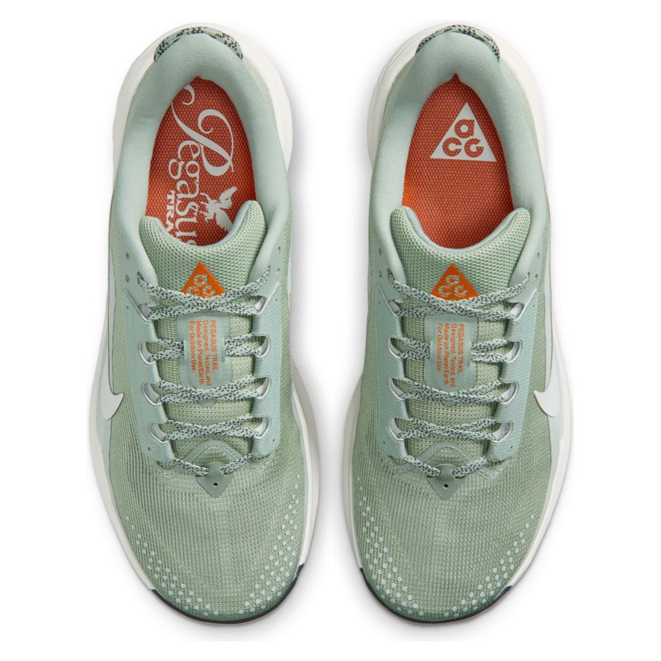 Nike ACG Pegasus Trail - Mens Trail Running Shoes - Jade Horizon/Phantom/Light Silver