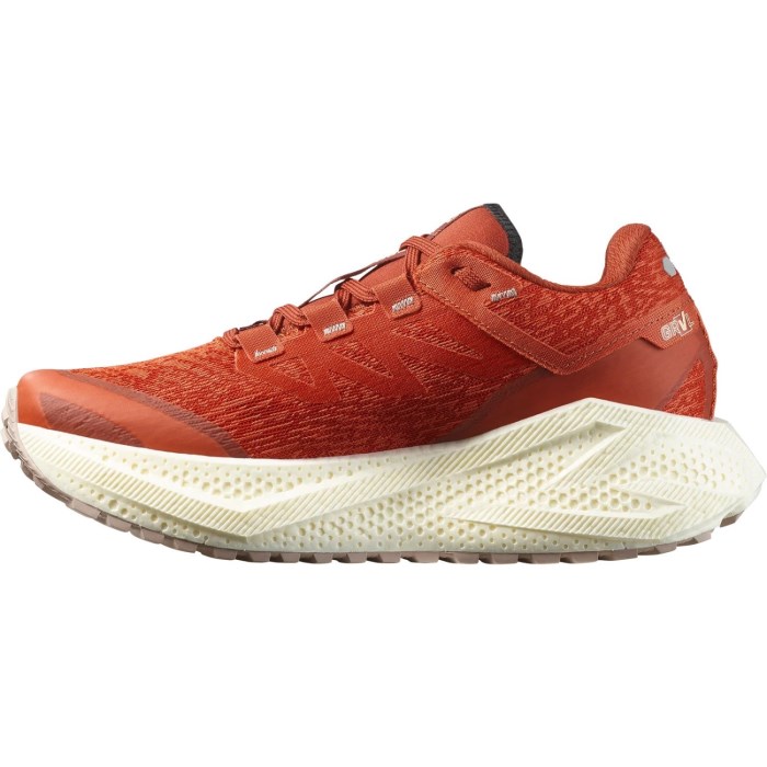 Salomon Aero Glide 3 GRVL - Womens Running Shoes - Burnt Ochre/Vanilla Ice/Etherea