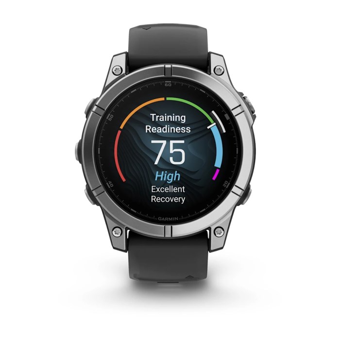 Garmin fenix E AMOLED - 47mm MultiSport Smartwatch - Stainless Steel/Black
