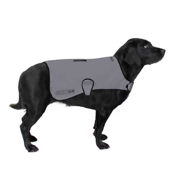 Proviz Reflect360 Waterproof Dog Coat - Grey/Reflective Silver
