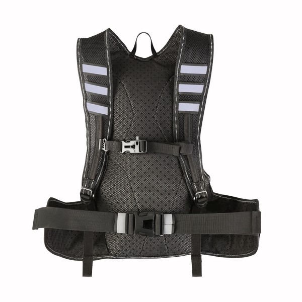 Proviz Reflect360 Running Backpack