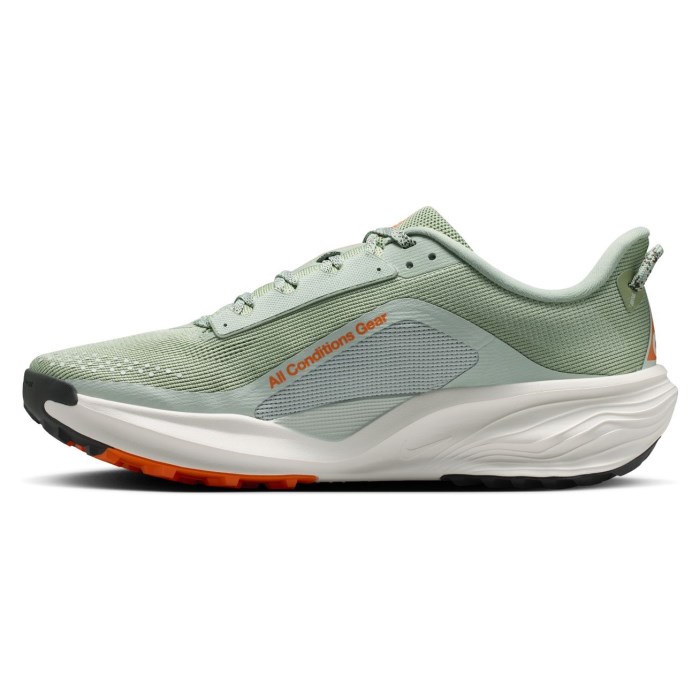 Nike ACG Pegasus Trail - Mens Trail Running Shoes - Jade Horizon/Phantom/Light Silver