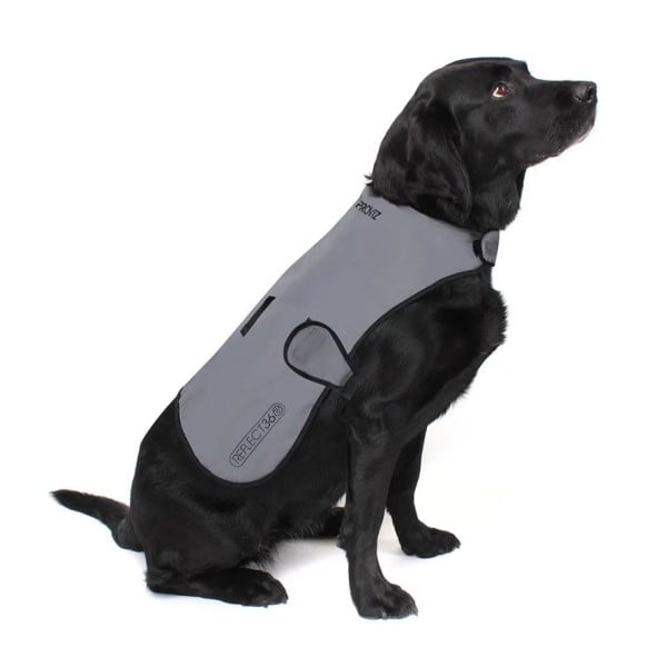 Proviz Reflect360 Waterproof Dog Coat