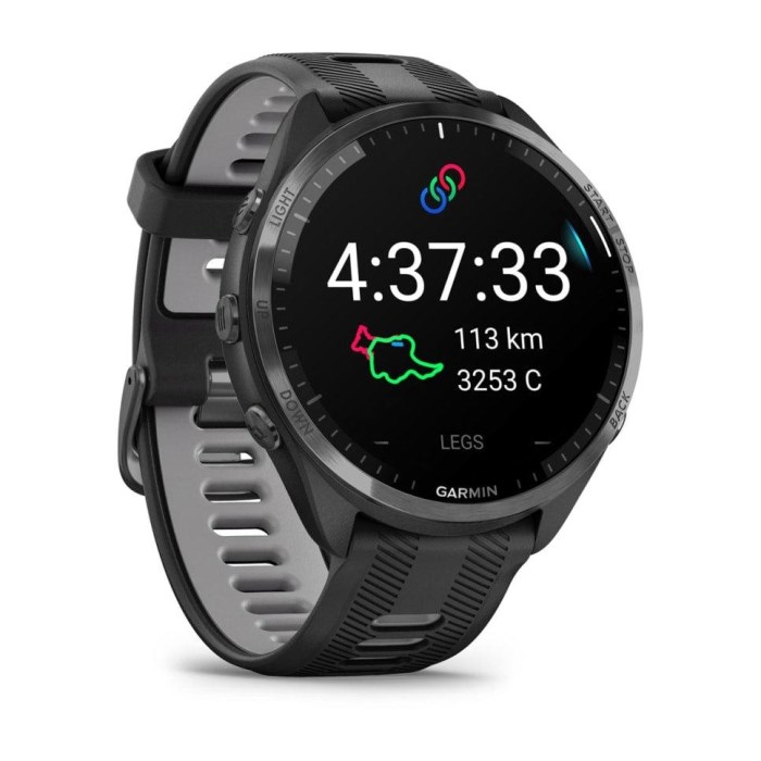 Garmin Forerunner 965 - Premium GPS Running Smart Watch - Black