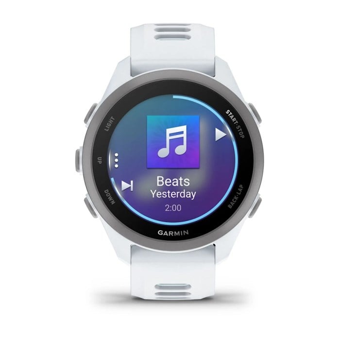 Garmin Forerunner 170 Music GPS Smartwatch - Whitestone/Cloud Blue - image 2