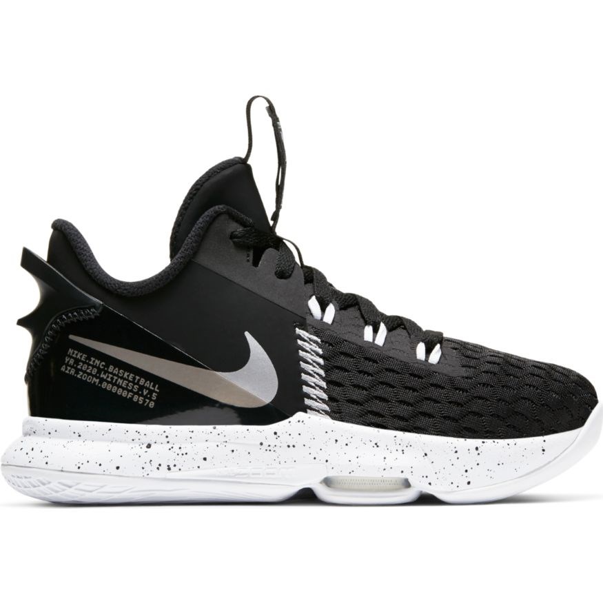lebron witness v gs