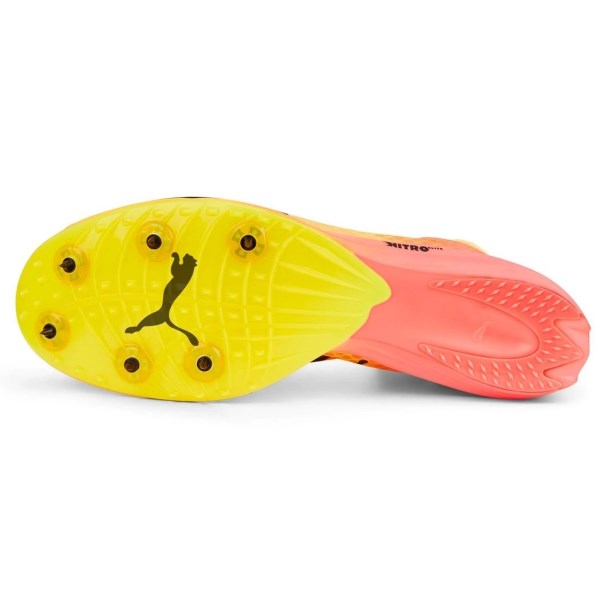 Puma evoSpeed Distance Nitro Elite - Mens Mid-Distance Track Spikes - Sun Stream/Sunset Glow/Black