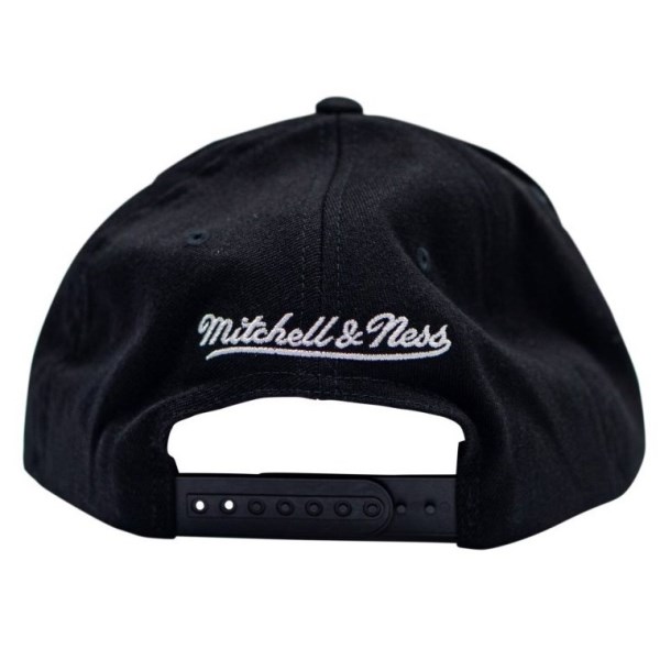 Mitchell & Ness NBA Toronto Raptors Logo 110 Snapback Basketball Cap - Toronto Raptors